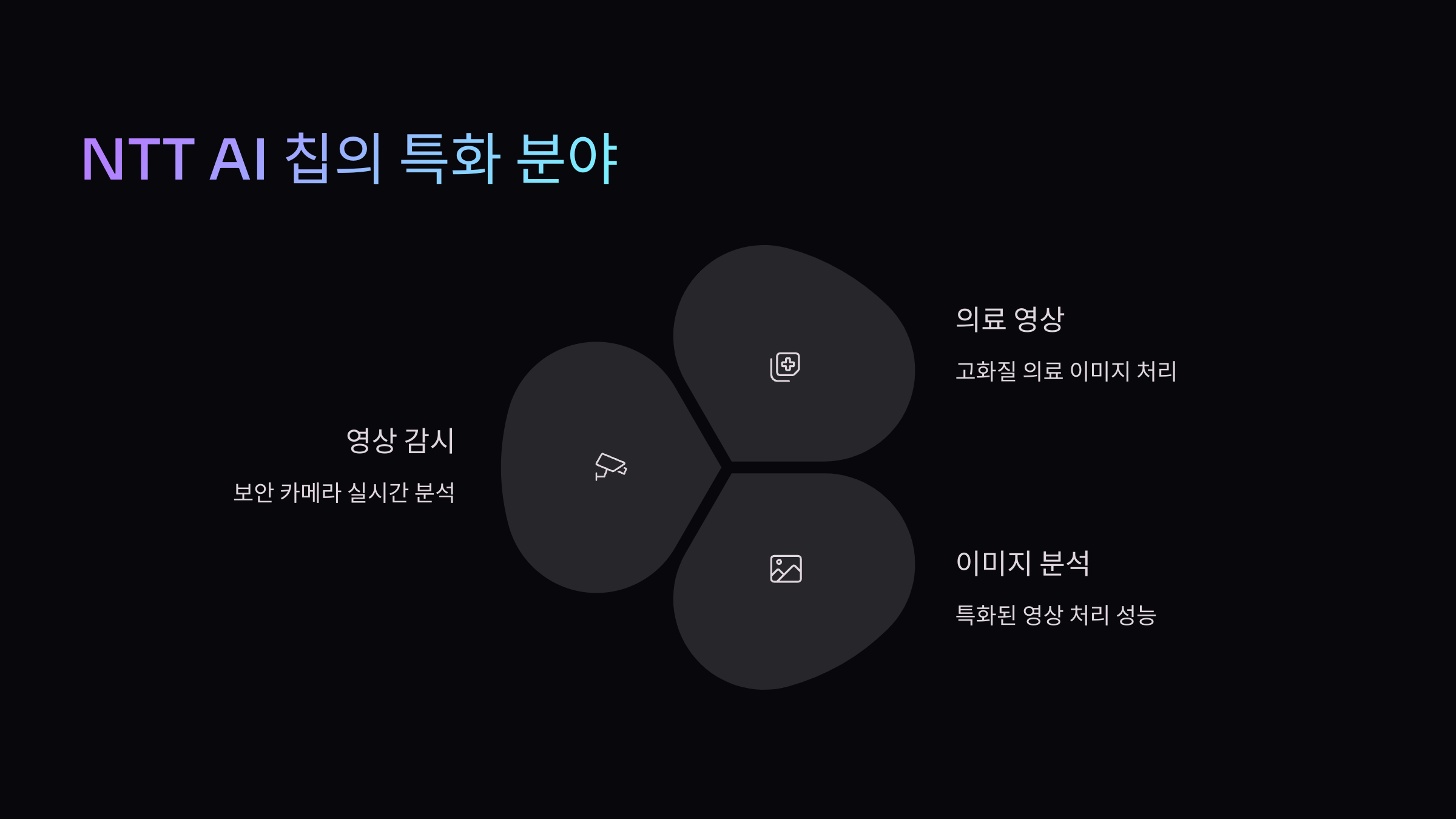 칩분야