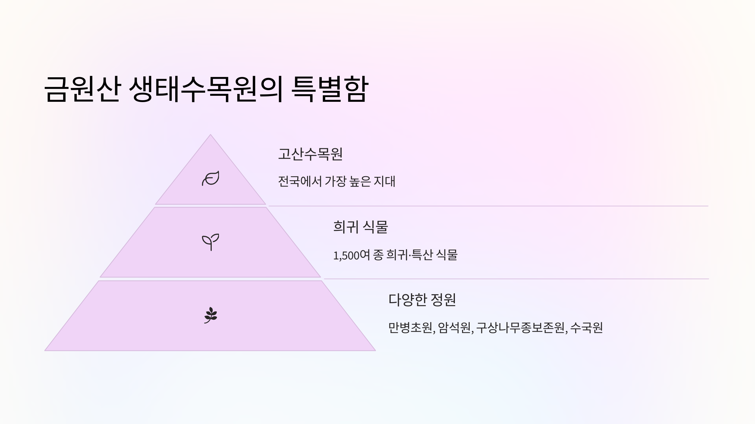 특별함